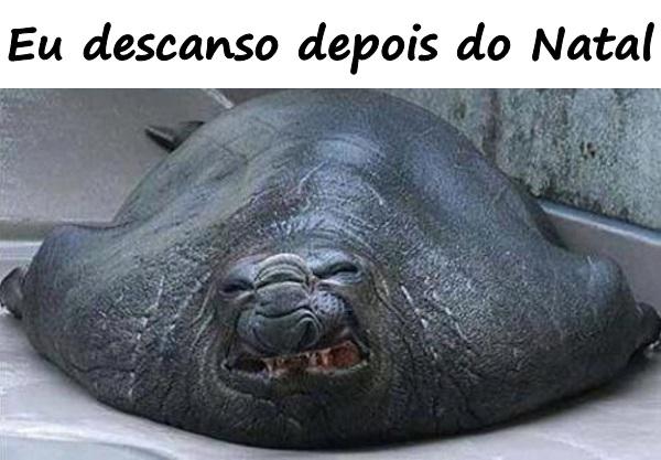 Eu descanso depois do Natal