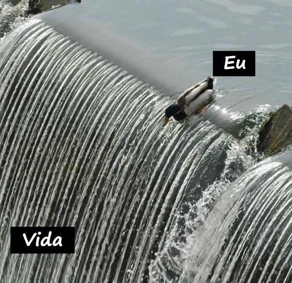 Eu e a vida