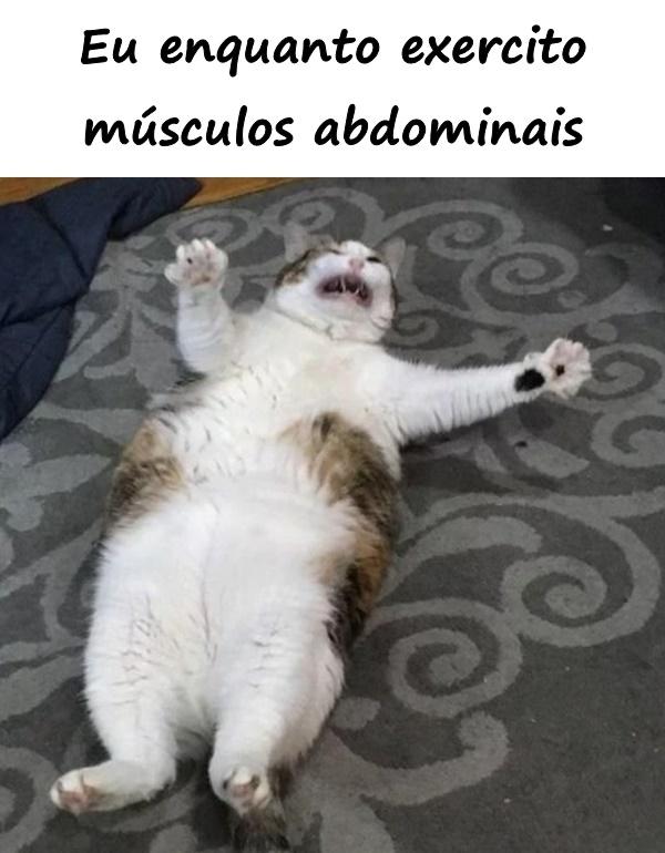 Eu enquanto exercito músculos abdominais