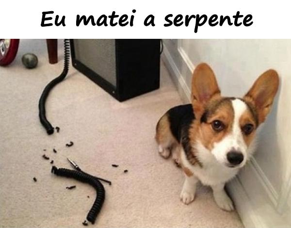 Eu matei a serpente