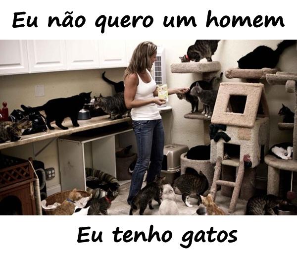 Eu não quero um homem. Eu tenho gatos