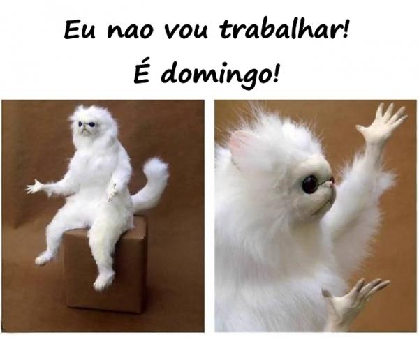 Eu não vou trabalhar! É domingo