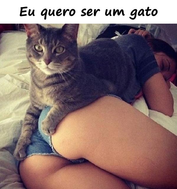 Eu quero ser um gato