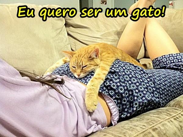 Eu quero ser um gato