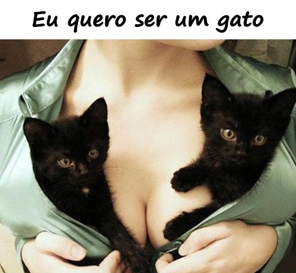 Eu quero ser um gato