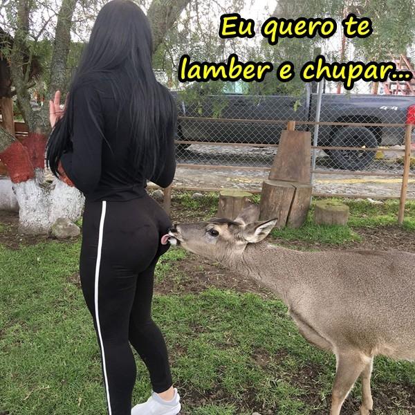 Eu quero te lamber e chupar