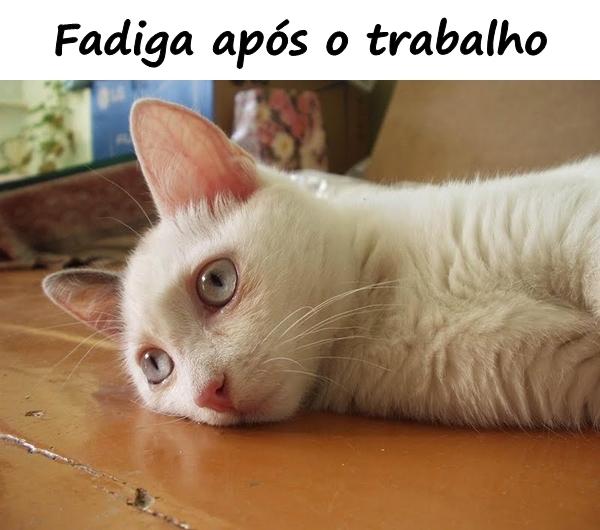 Fadiga após o trabalho