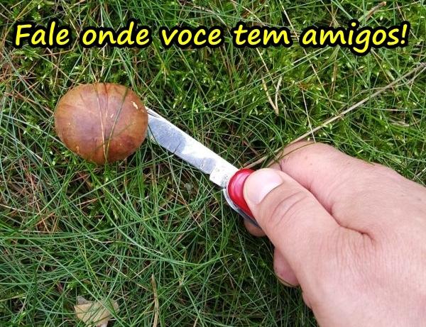 Fale onde você tem amigos