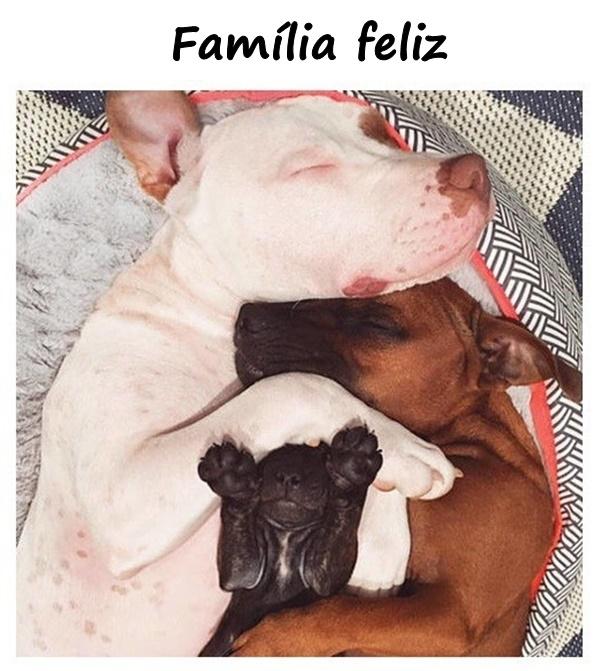 Família feliz