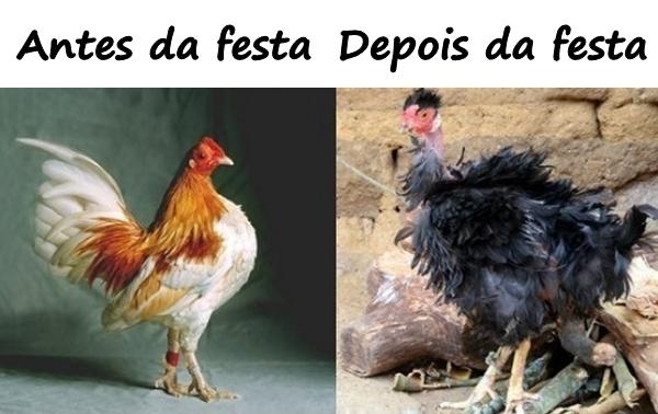 Festa - álcool