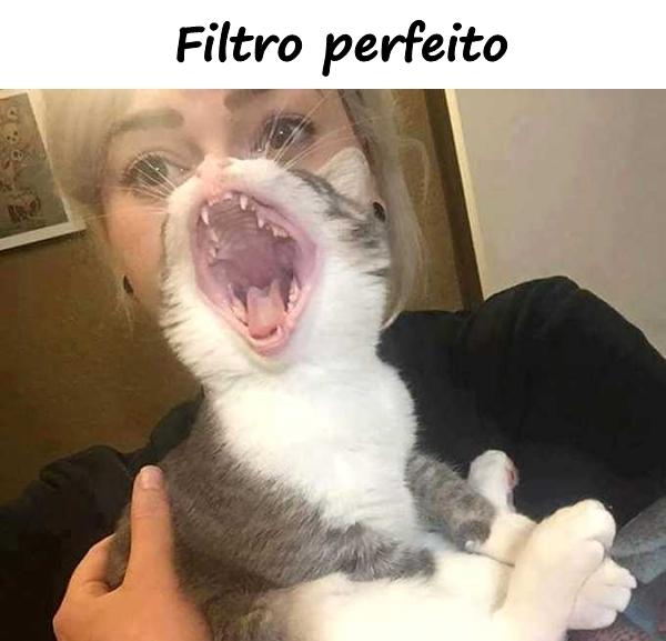 Filtro perfeito