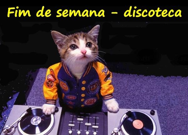 Fim de semana - discoteca