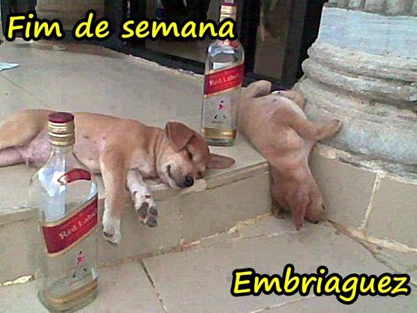 Fim de semana - embriaguez