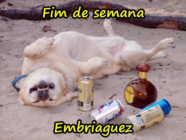 Fim de semana - embriaguez