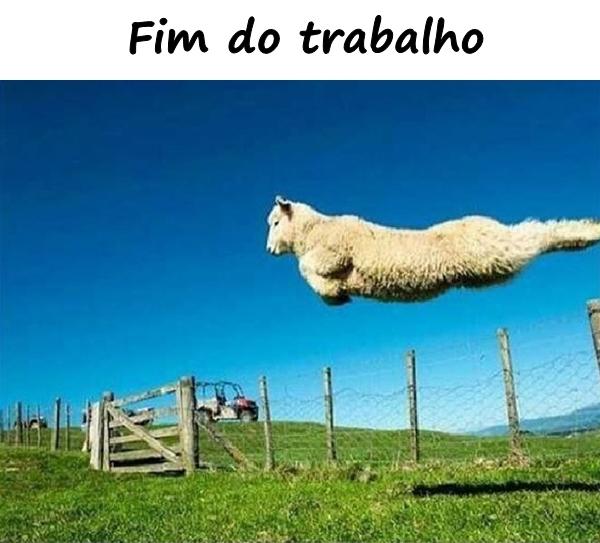 Fim do trabalho