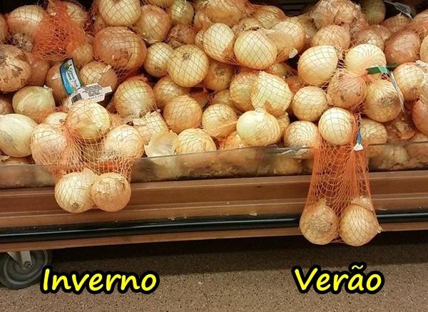 Inverno vs. verão