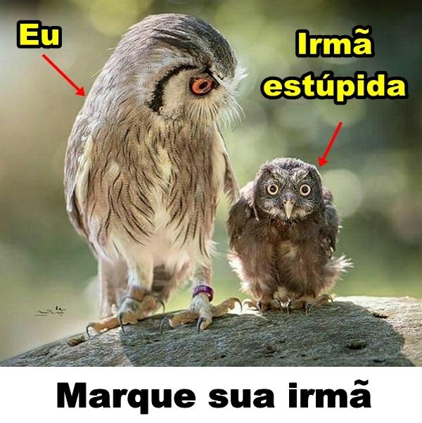 Irmã estúpida. Marque sua irmã