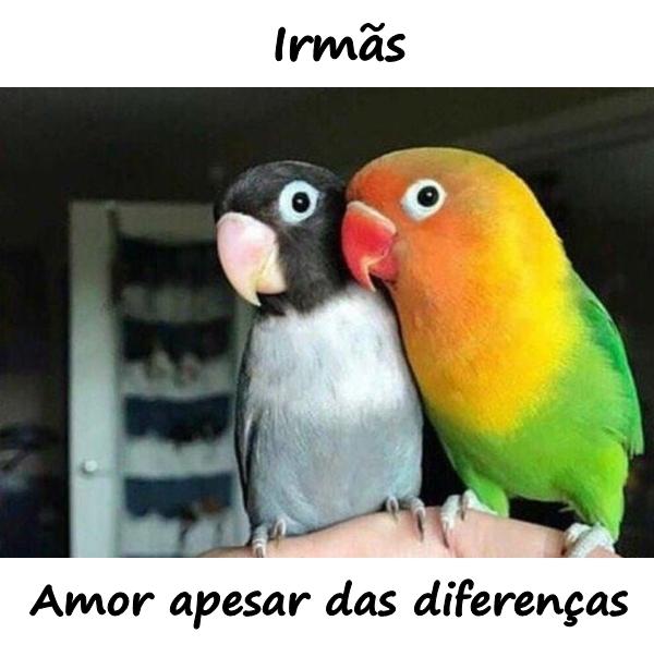 Irmãs. Amor apesar das diferenças