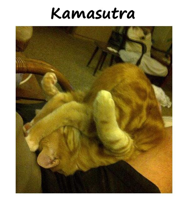 Kamasutra