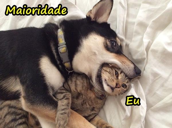 Maioridade