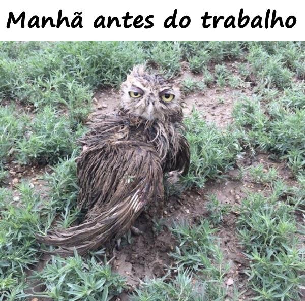 Manhã antes do trabalho