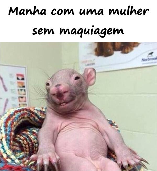 Manhã com uma mulher sem maquiagem