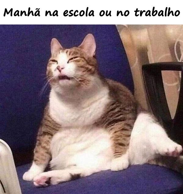 Manhã na escola ou no trabalho