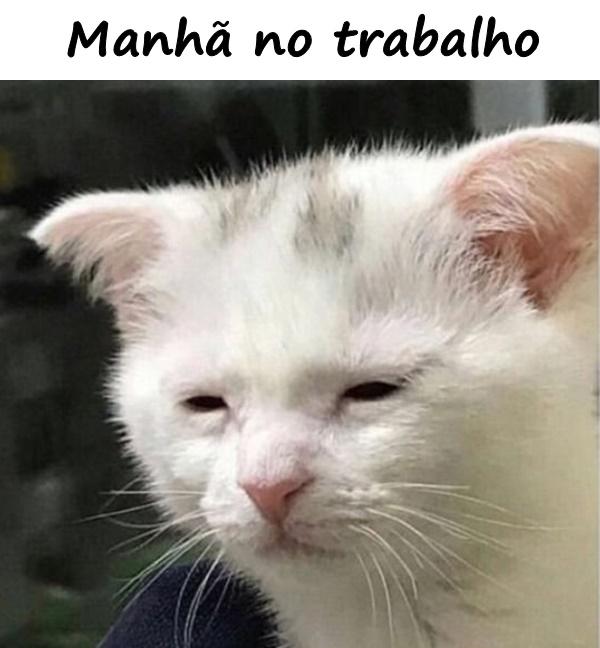 Manhã no trabalho