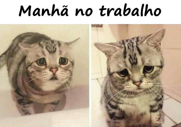 Manhã no trabalho