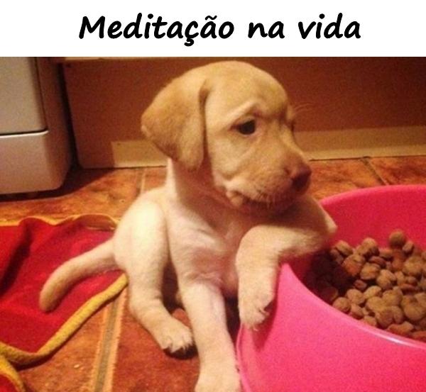 Meditação na vida