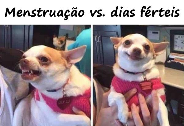 Menstruação vs. dias férteis