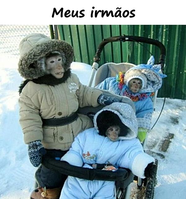 Meus irmãos