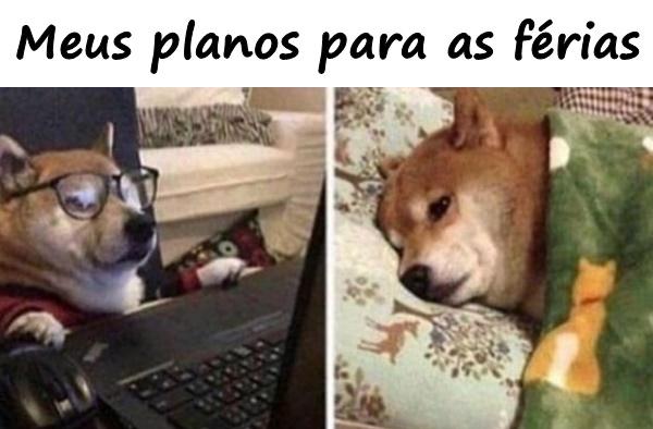 Meus planos para as férias