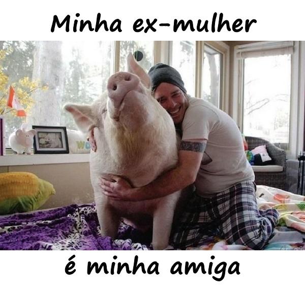 Minha ex-mulher é minha amiga