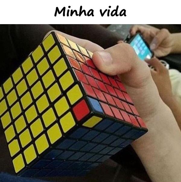 Minha vida