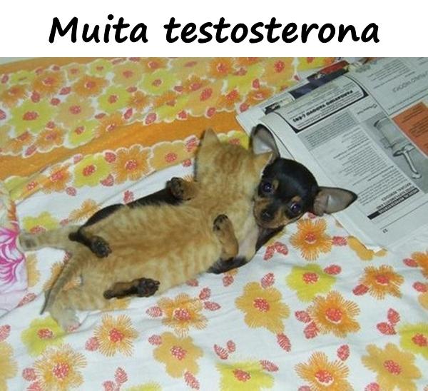 Muita testosterona