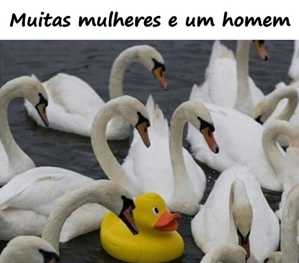 Muitas mulheres e um homem