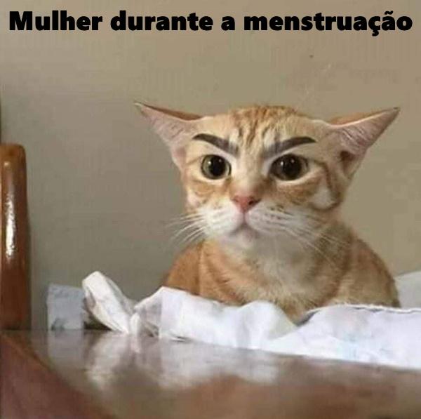 Mulher durante a menstruação