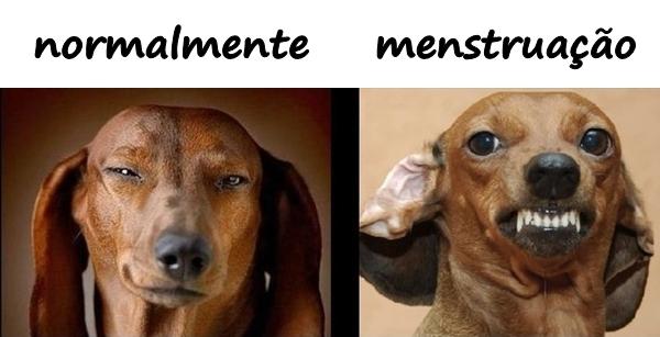 Mulher - Normalmente vs. menstruação