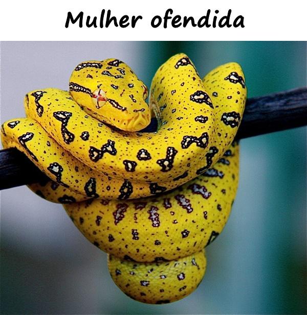 Mulher ofendida