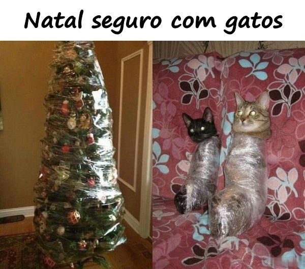 Natal seguro com gatos