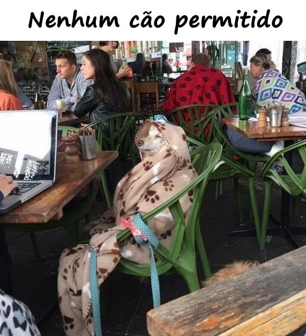 Nenhum cão permitido