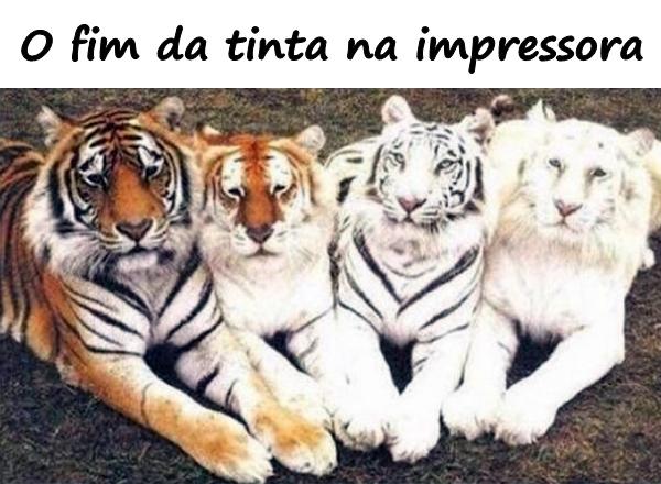 O fim da tinta na impressora