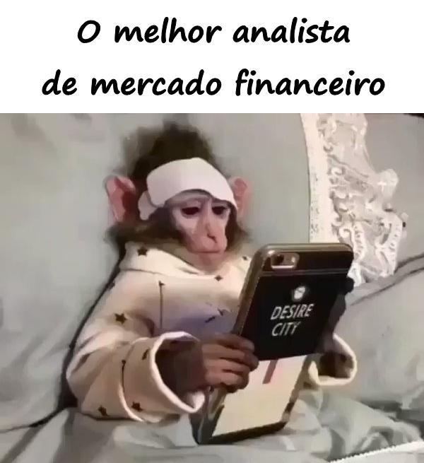 O melhor analista de mercado financeiro