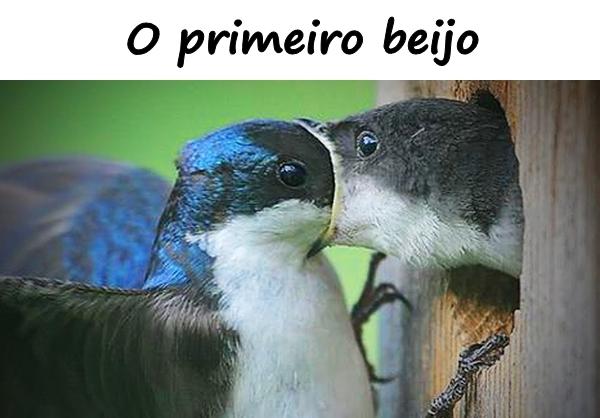 O primeiro beijo