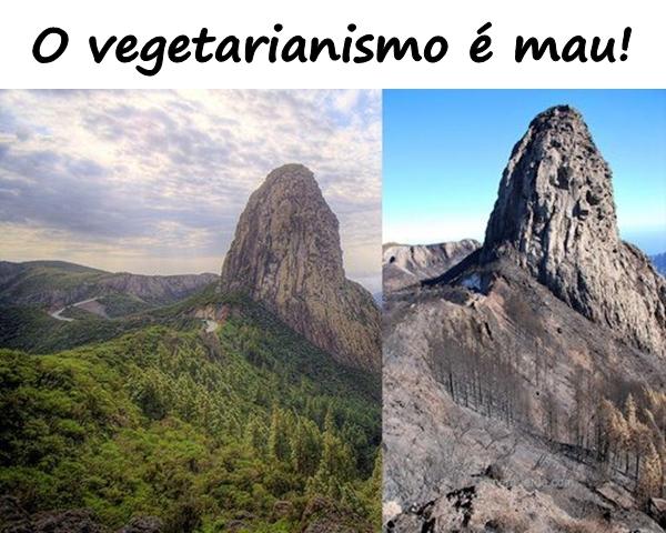 O vegetarianismo é mau