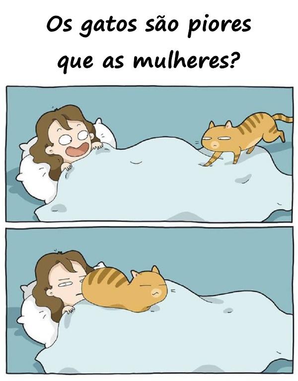 Os gatos são piores que as mulheres