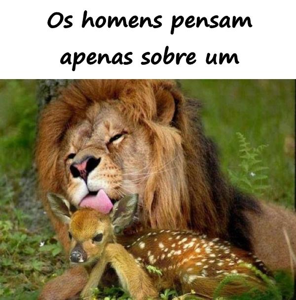 Os homens pensam apenas sobre um