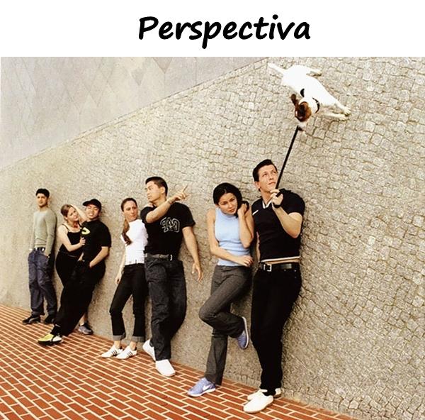 Perspectiva