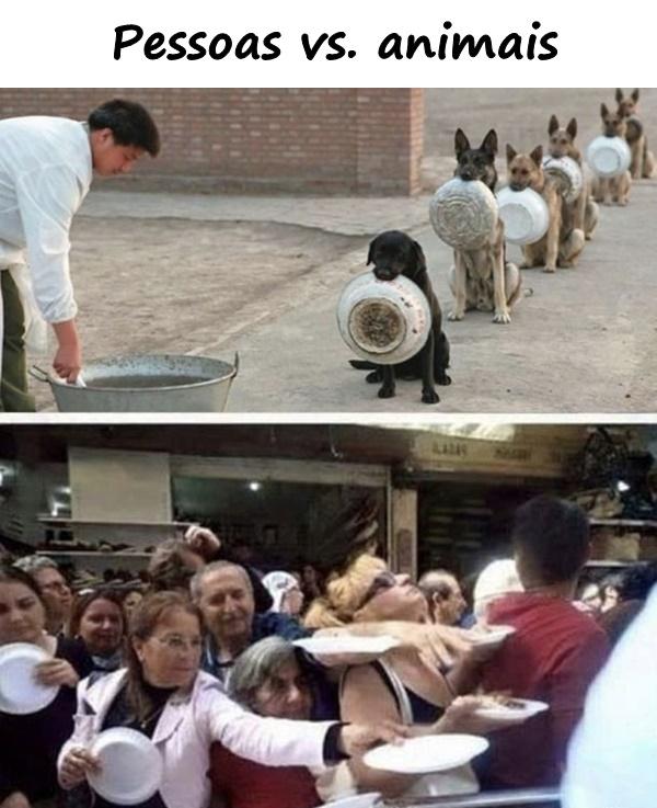 Pessoas vs. animais